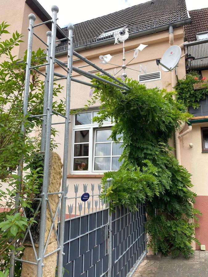 Pension - Gaestehaus Zum Pfaelzerwald Hinterweidenthal エクステリア 写真