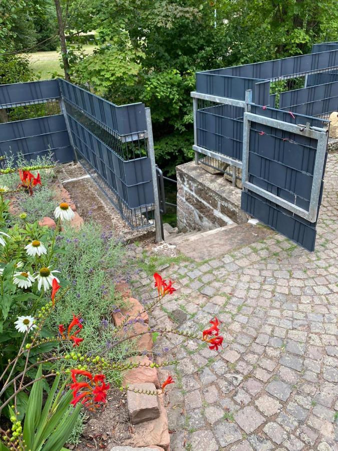 Pension - Gaestehaus Zum Pfaelzerwald Hinterweidenthal エクステリア 写真