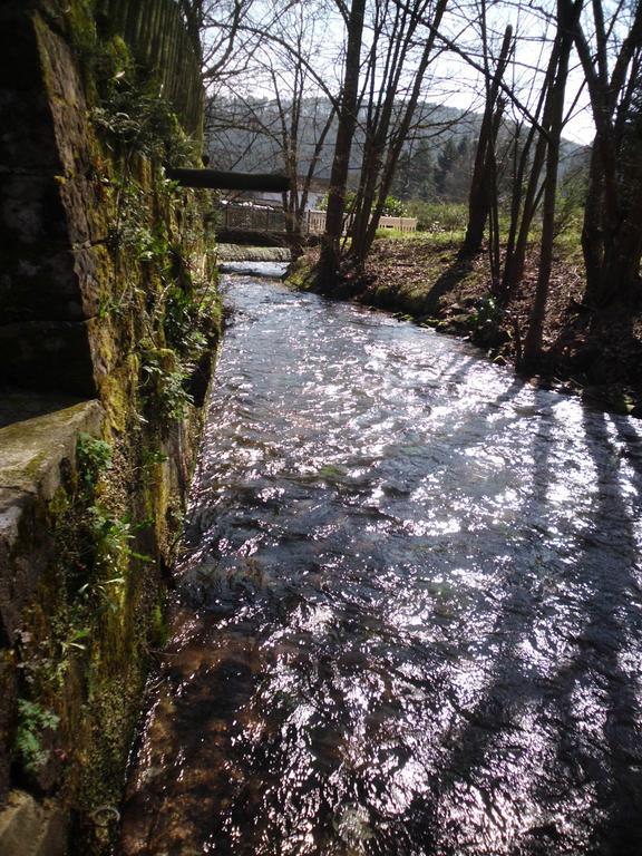 Pension - Gaestehaus Zum Pfaelzerwald Hinterweidenthal エクステリア 写真