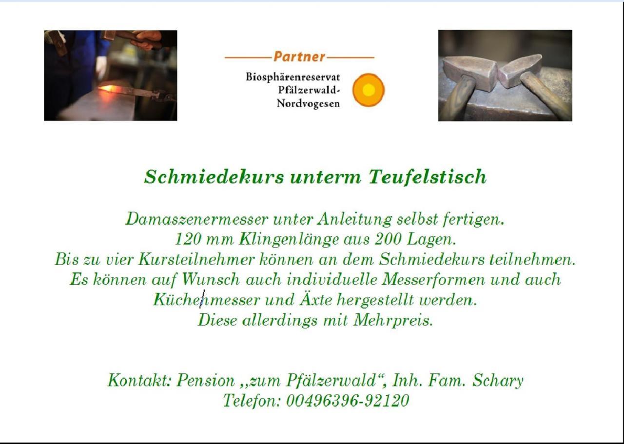 Pension - Gaestehaus Zum Pfaelzerwald Hinterweidenthal エクステリア 写真