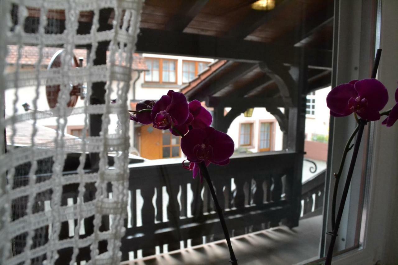 Pension - Gaestehaus Zum Pfaelzerwald Hinterweidenthal エクステリア 写真