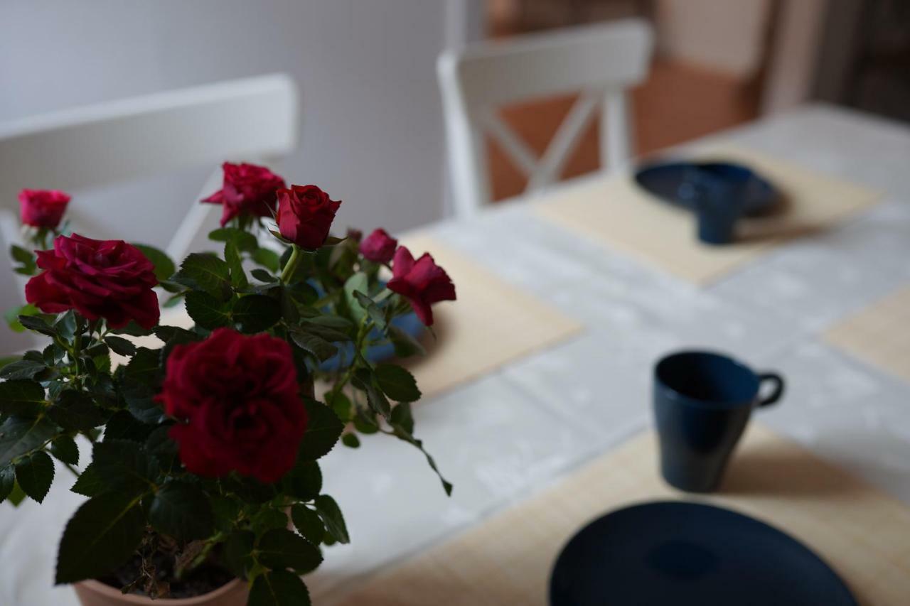 Pension - Gaestehaus Zum Pfaelzerwald Hinterweidenthal エクステリア 写真